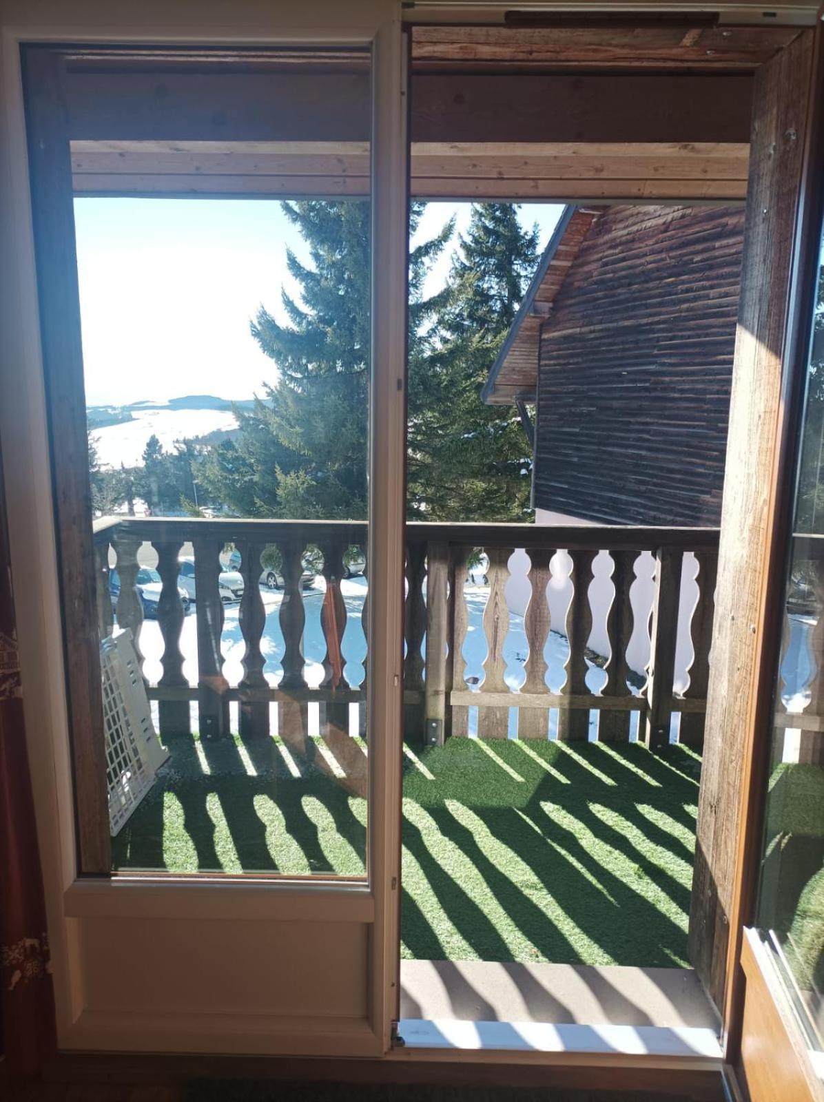 Appartement Dans Residence Bois De La Reine, Besse Et Saint Anastaise Екстериор снимка